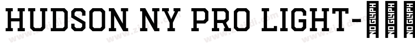Hudson NY Pro Light字体转换